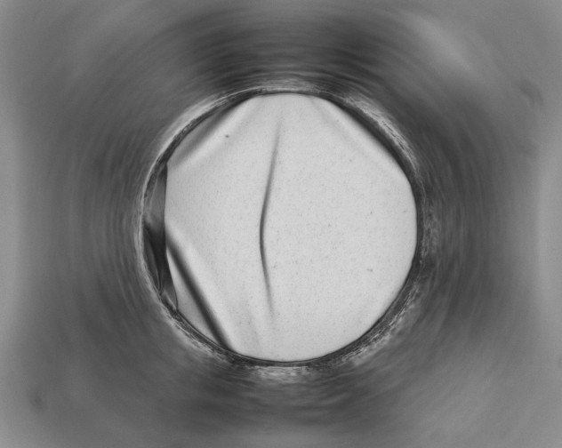 X0000113030853200909241412