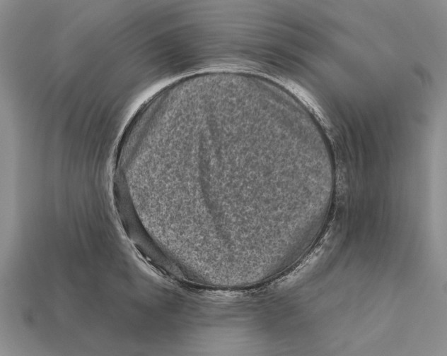 X0000113030854200909241412