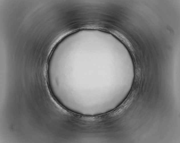 X0000113030855200909241412