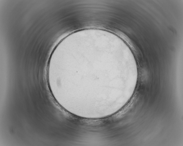 X0000113030856200909241412