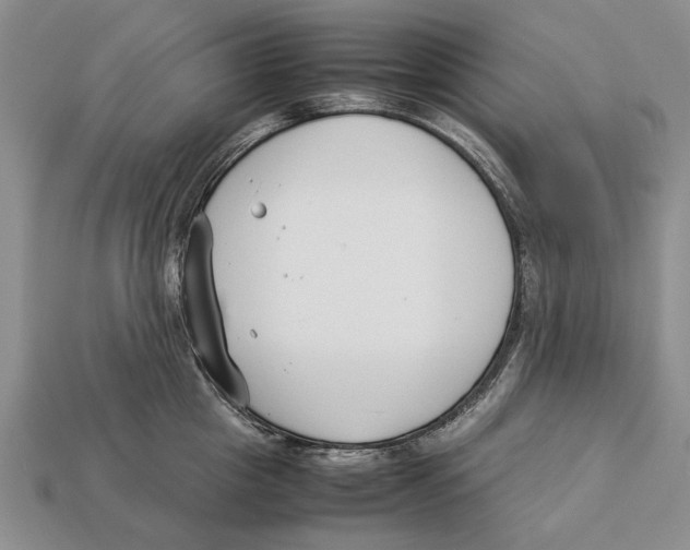 X0000113030857200909241412