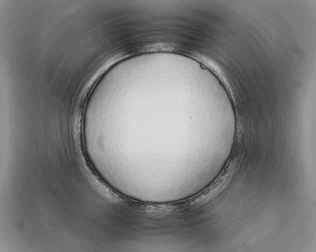 X0000113030859200909241412