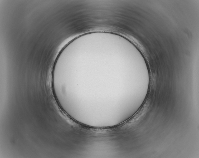 X0000113030862200909241412