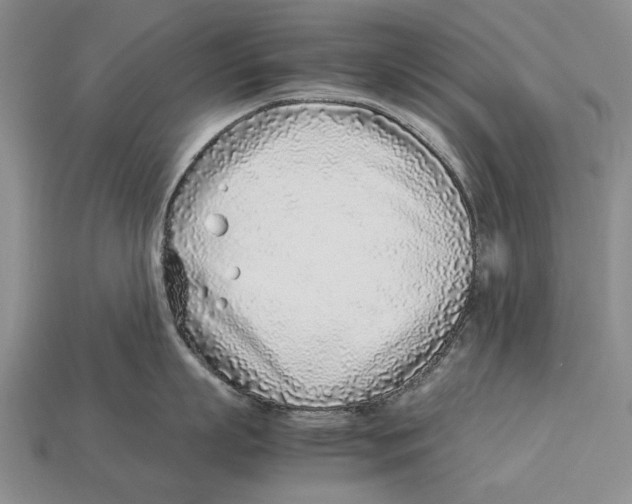 X0000113030863200909241412