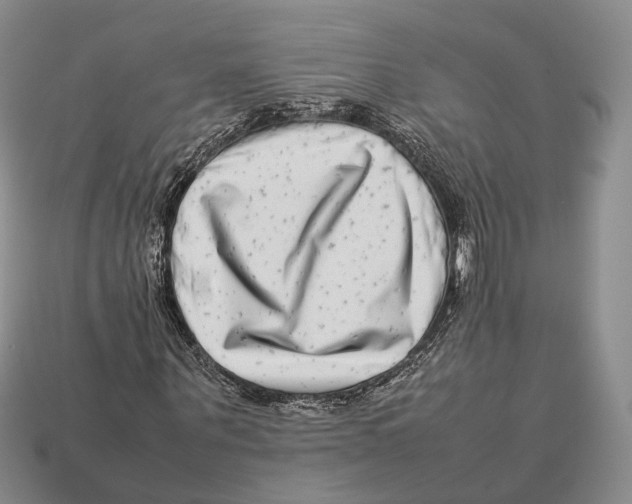 X0000113030867200909241411