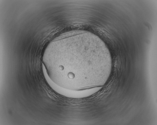 X0000113030868200909241411