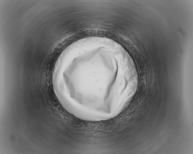 X0000113030870200909241411