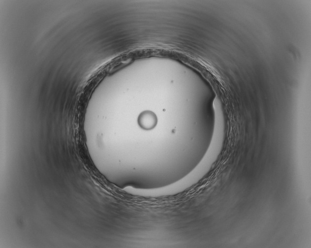 X0000113030872200909241411