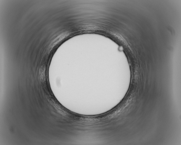 X0000113030873200909241411