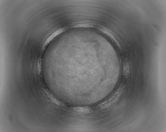 X0000113030874200909241411