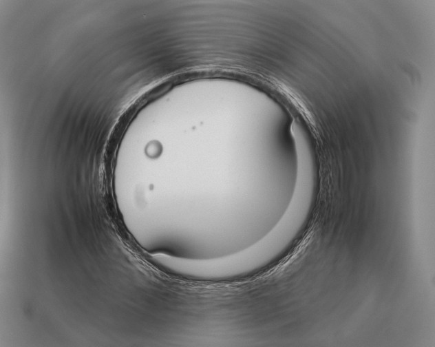 X0000113030876200909241411