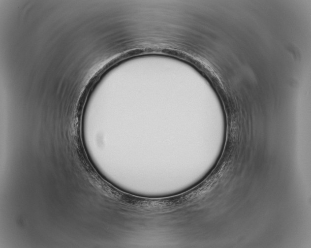 X0000113030879200909241411