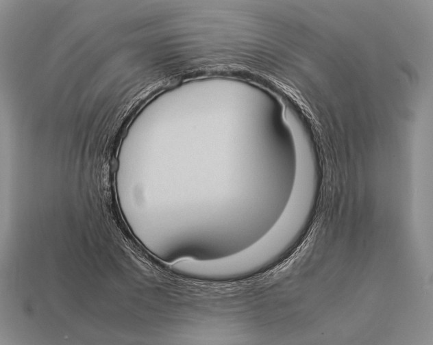 X0000113030881200909241411