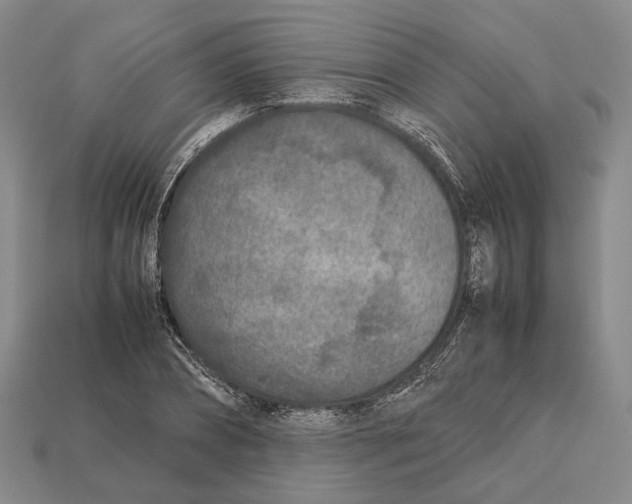 X0000113030882200909241411