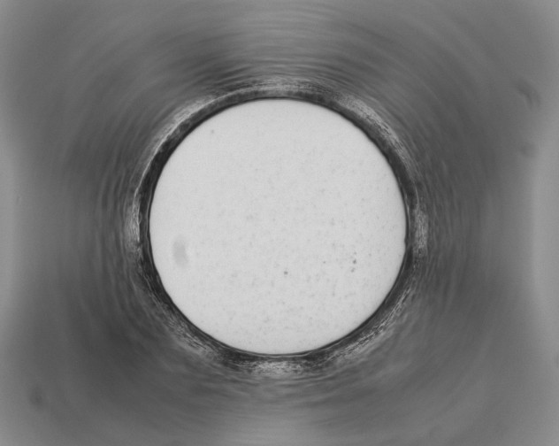 X0000113030883200909241411