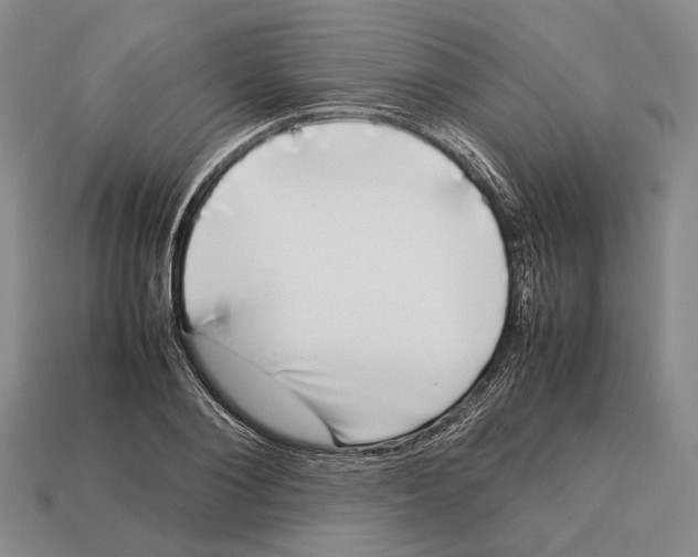 X0000113030884200909241411