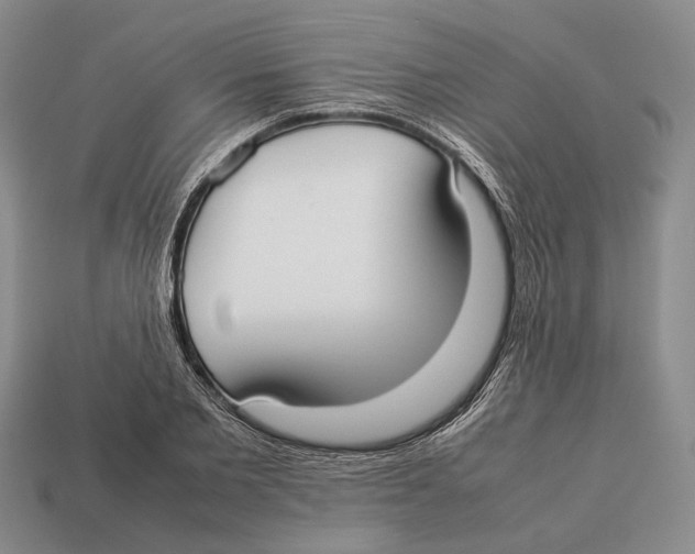 X0000113030885200909241411