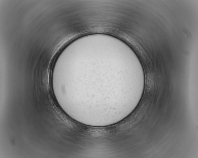 X0000113030886200909241411