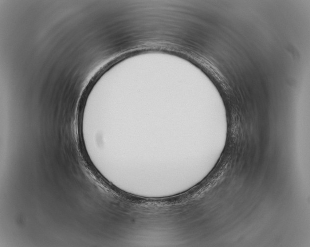 X0000113030888200909241411