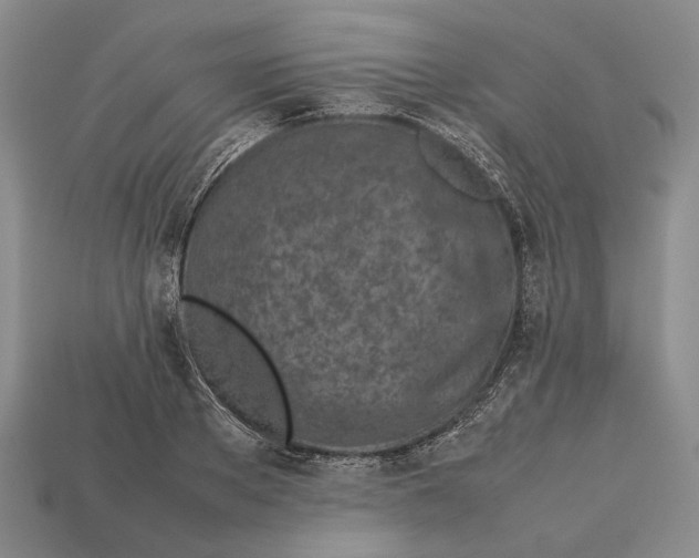 X0000113030889200909241411