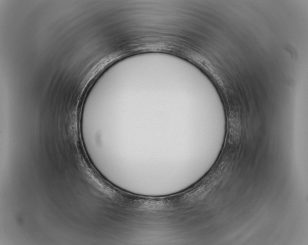 X0000113030890200909241411