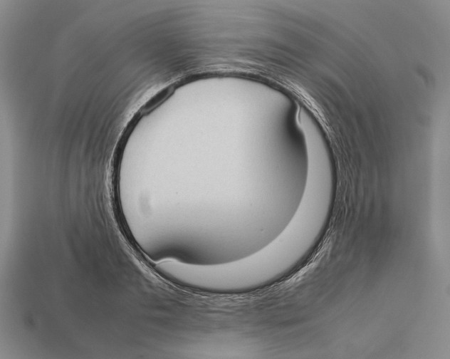 X0000113030893200909241411