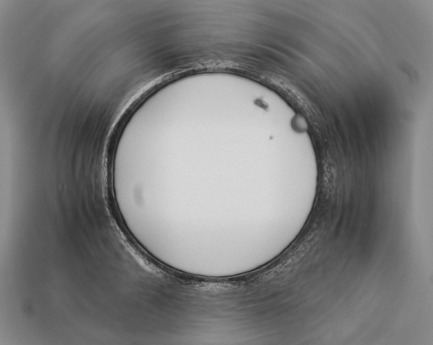 X0000113030894200909241411