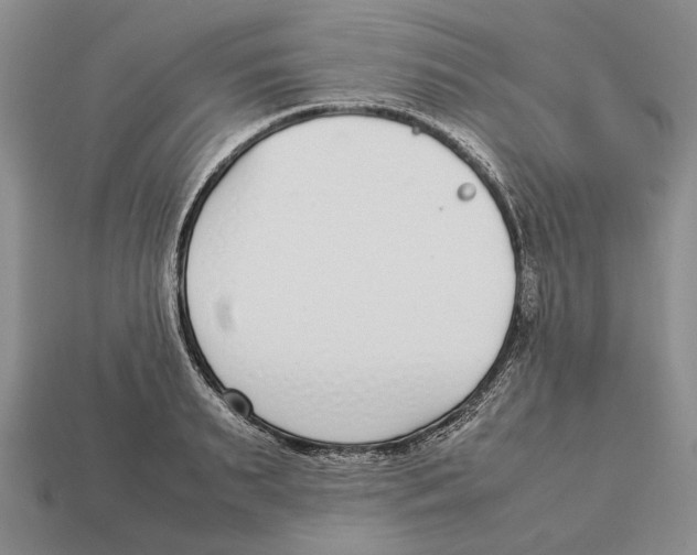 X0000113030895200909241411