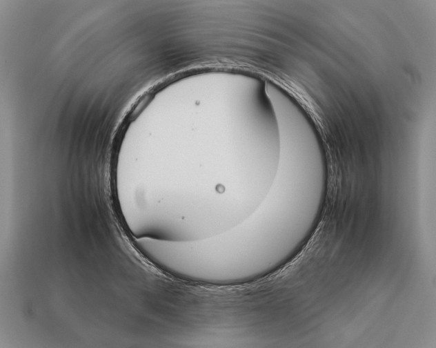 X0000113030896200909241411