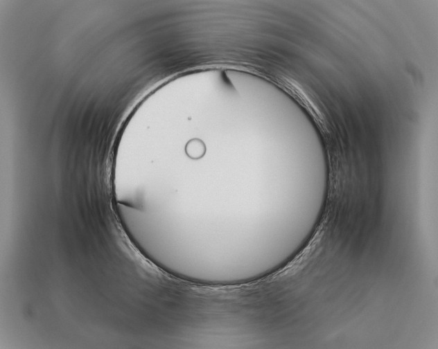 X0000113030900200909241411