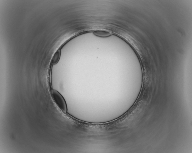 X0000113030901200909241411