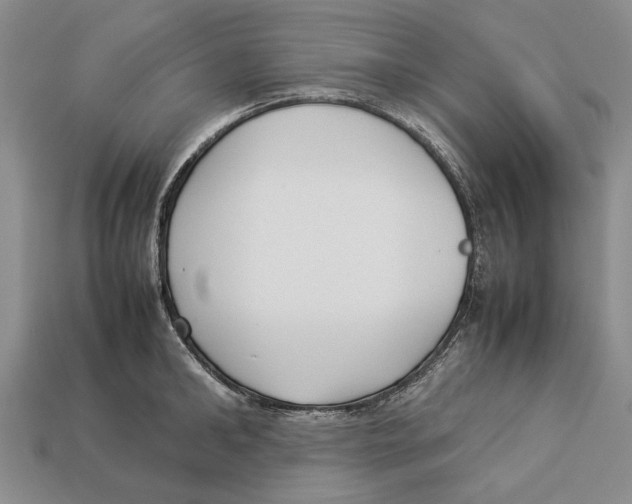 X0000113030902200909241411