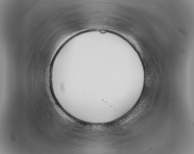 X0000113030903200909241411