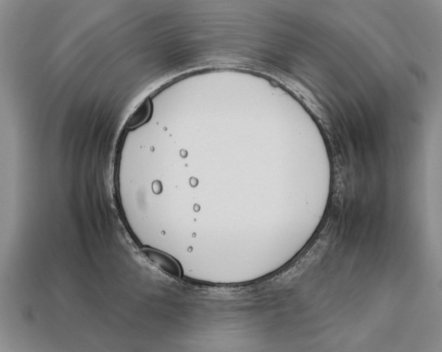 X0000113030904200909241411