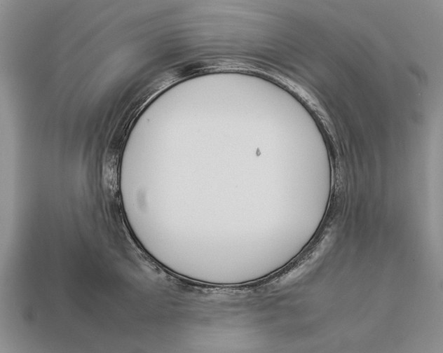 X0000113030905200909241411