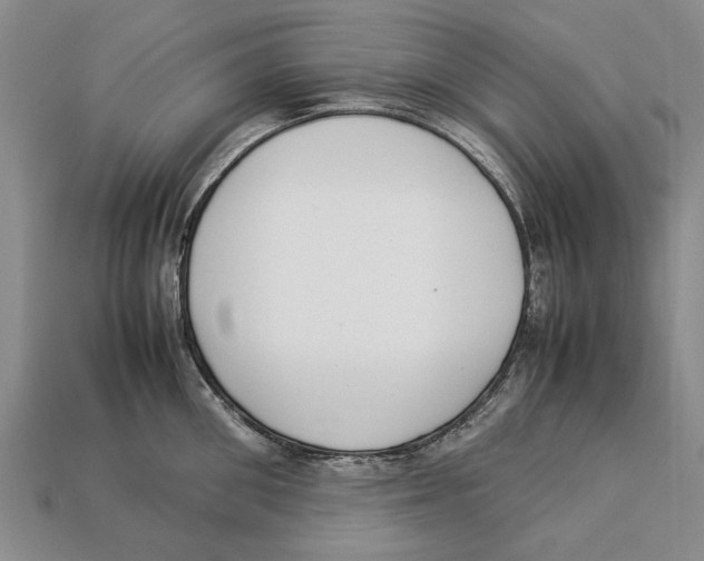 X0000113030906200909241411