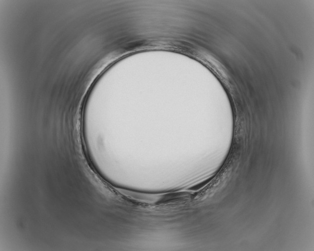 X0000113030907200909241411