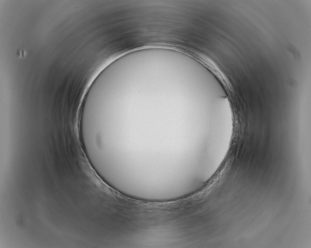 X0000113030908200909241411