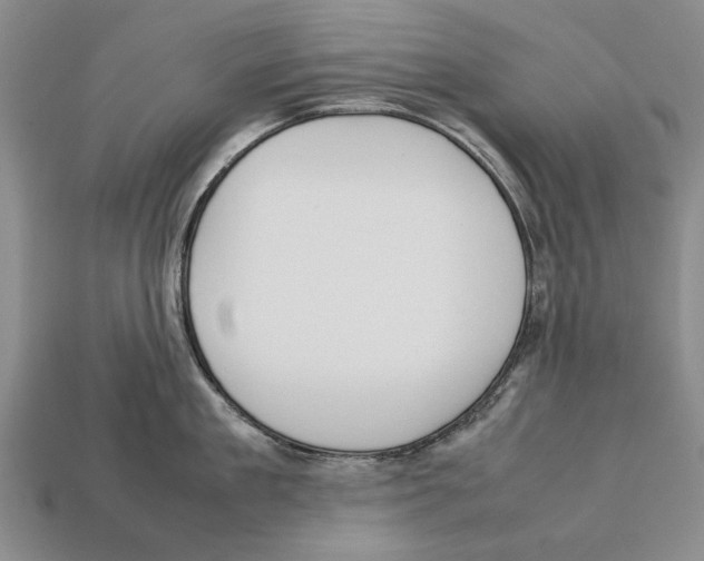 X0000113030909200909241411