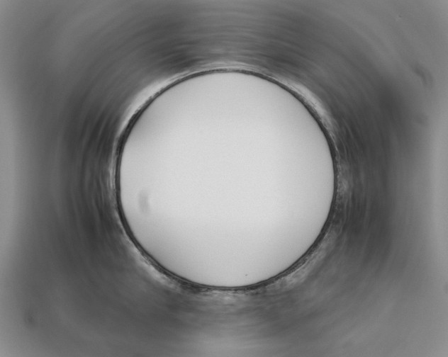 X0000113030910200909241411