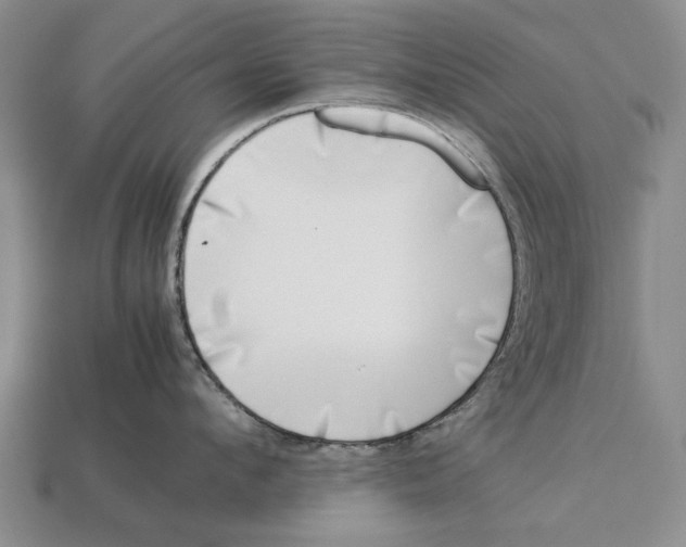 X0000113030912200909241411