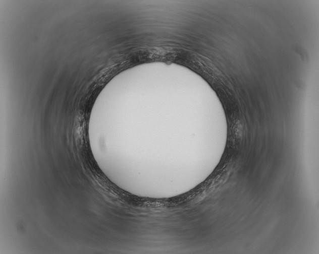 X0000113030914200909241410