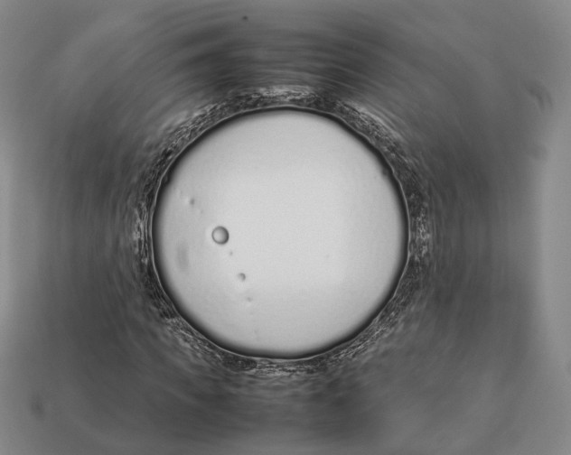 X0000113030917200909241410