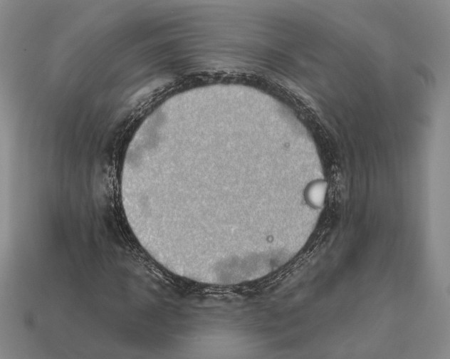 X0000113030918200909241410