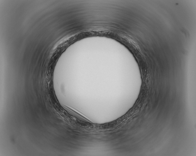 X0000113030920200909241410