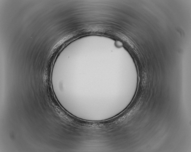 X0000113030922200909241410