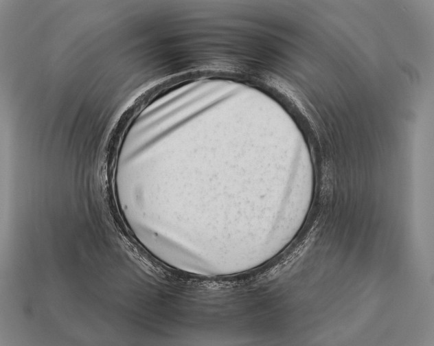 X0000113030923200909241410