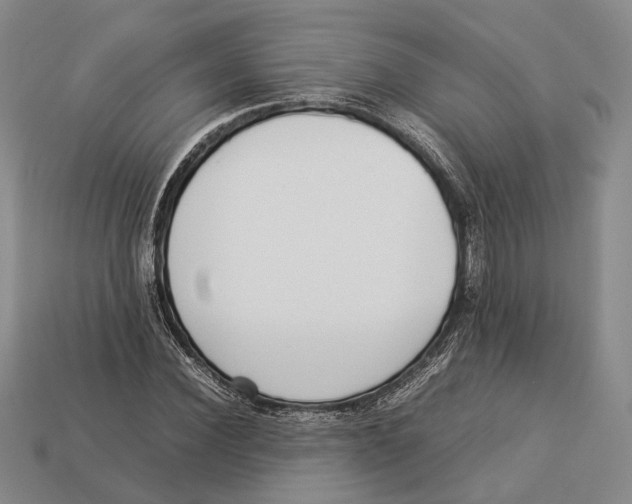 X0000113030924200909241410