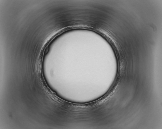 X0000113030925200909241410