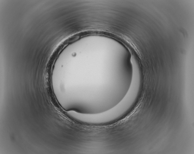 X0000113030926200909241410